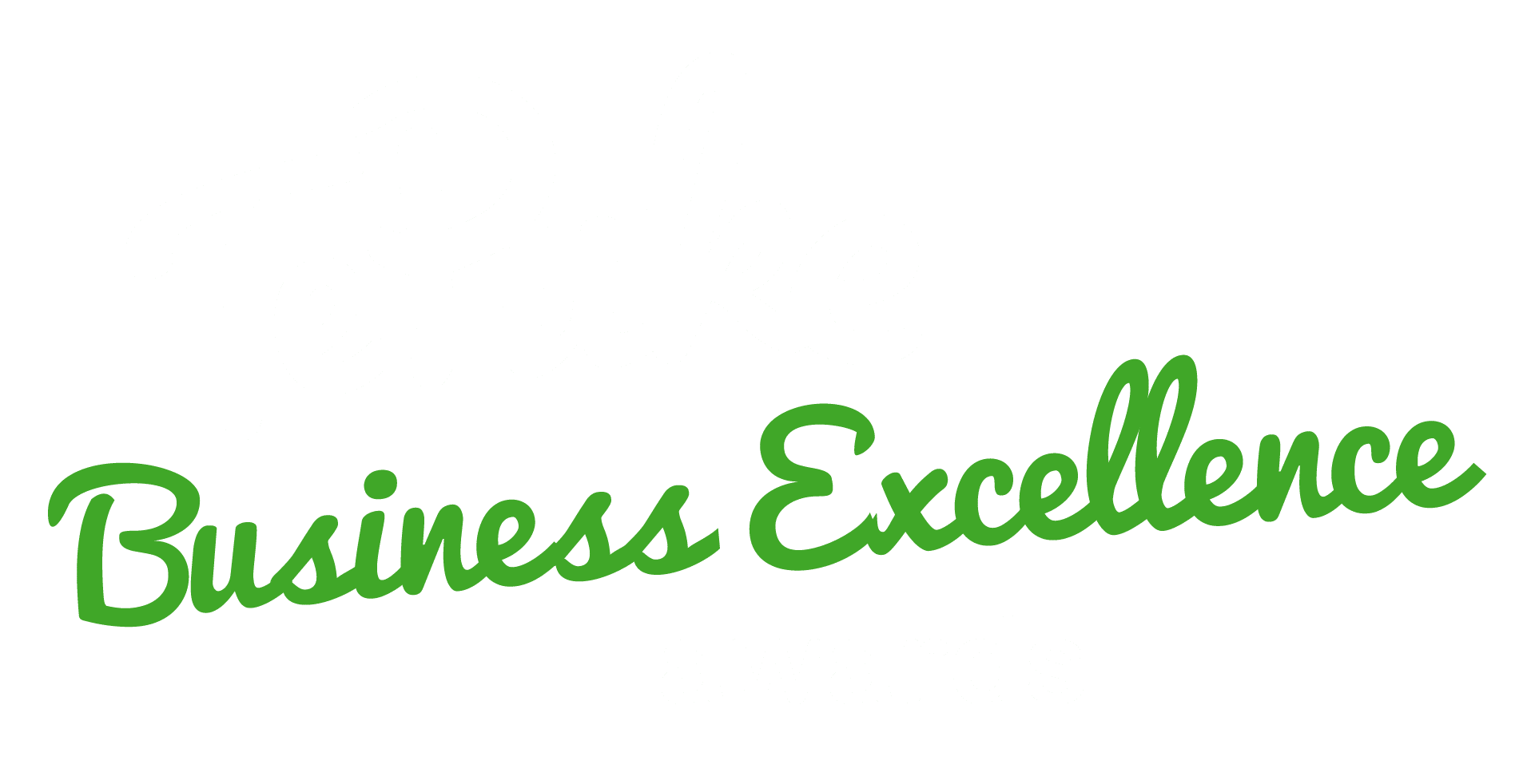 Te Puke Business Excellence Awards