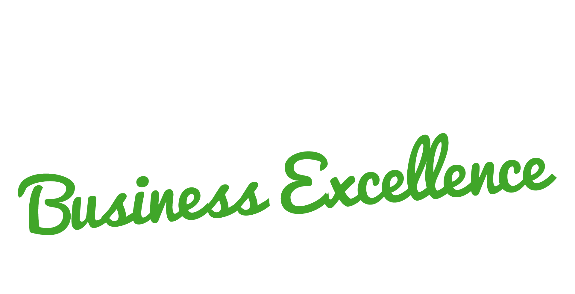 Te Puke Business Excellence Awards